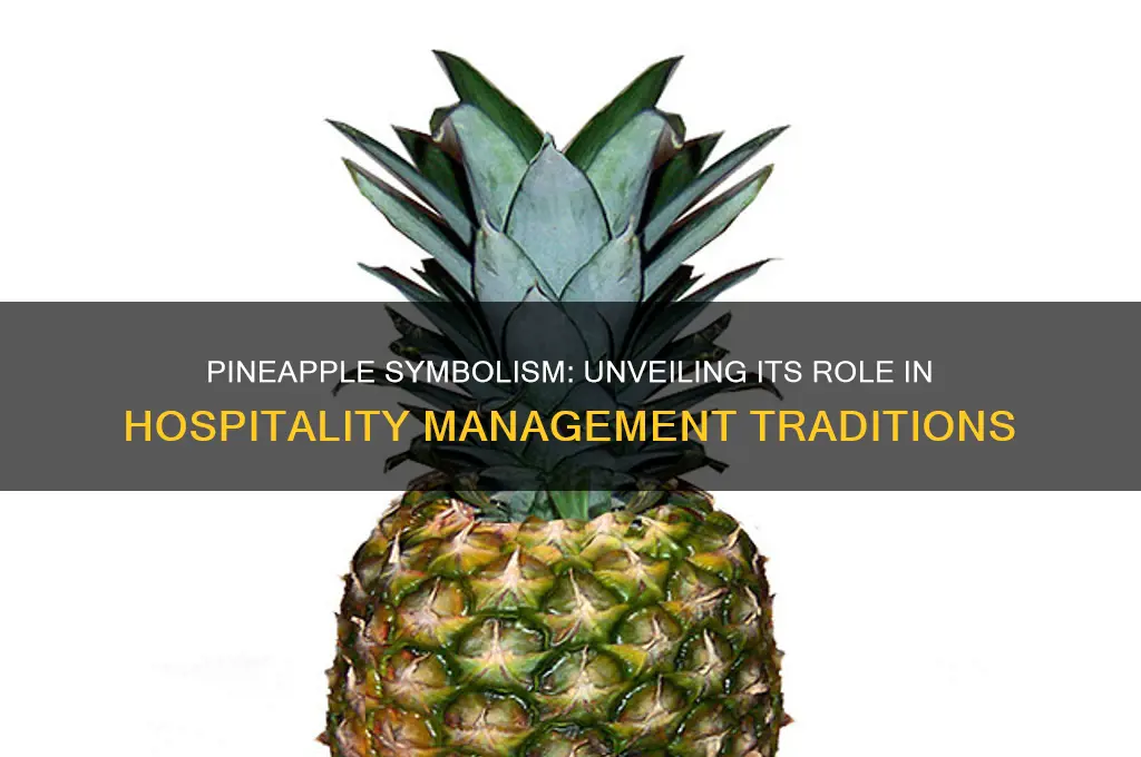 why is the pineapple the sign for hospitality management