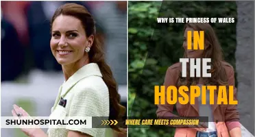 Princess of Wales Hospitalized: Unraveling the Mystery Behind Her Admission