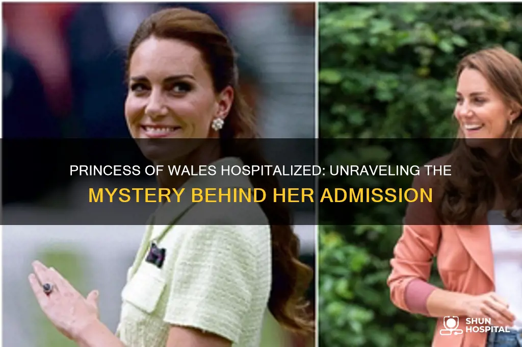 why is the princess of wales in the hospital