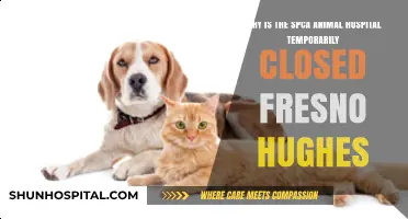 SPCA Animal Hospital Fresno Hughes: Temporary Closure Explained