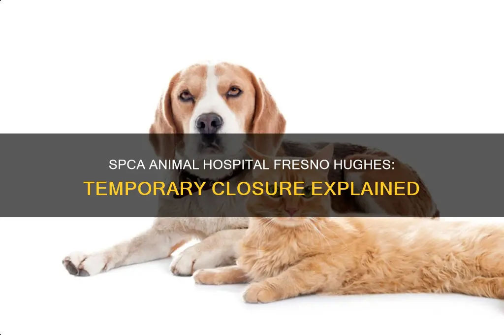 why is the spca animal hospital temporarily closed fresno hughes