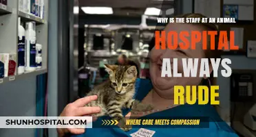 Why Animal Hospital Staff Often Seem Rude: Uncovering the Reasons