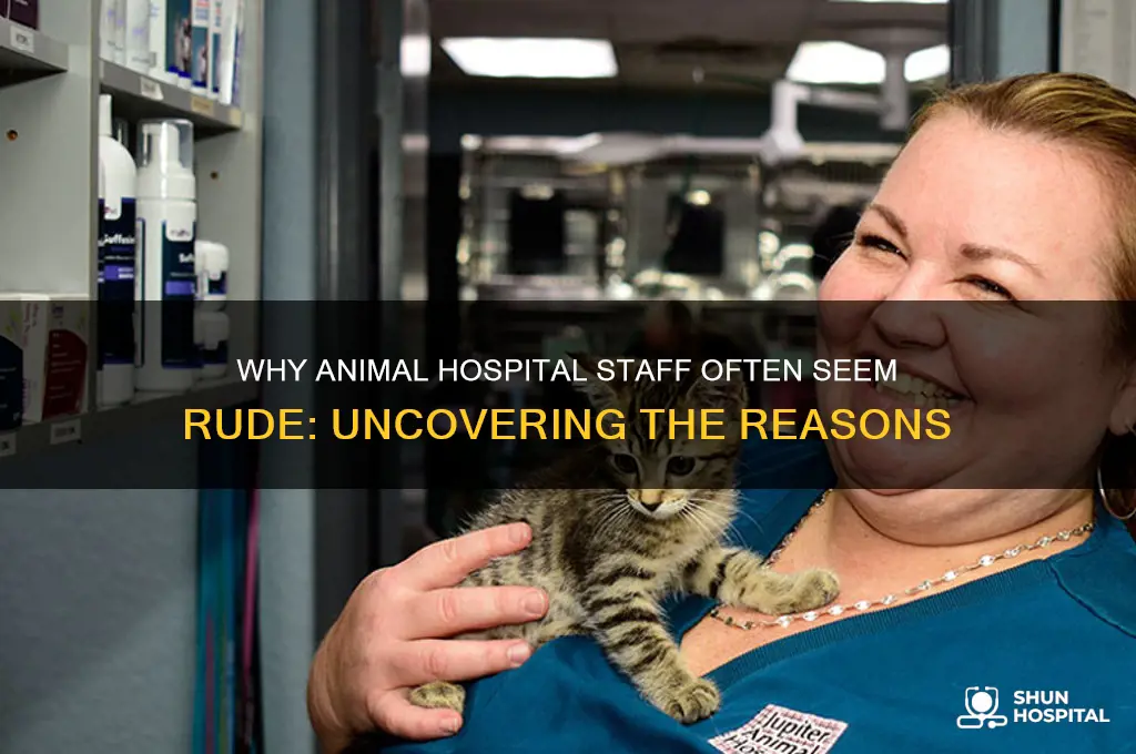 why is the staff at an animal hospital always rude