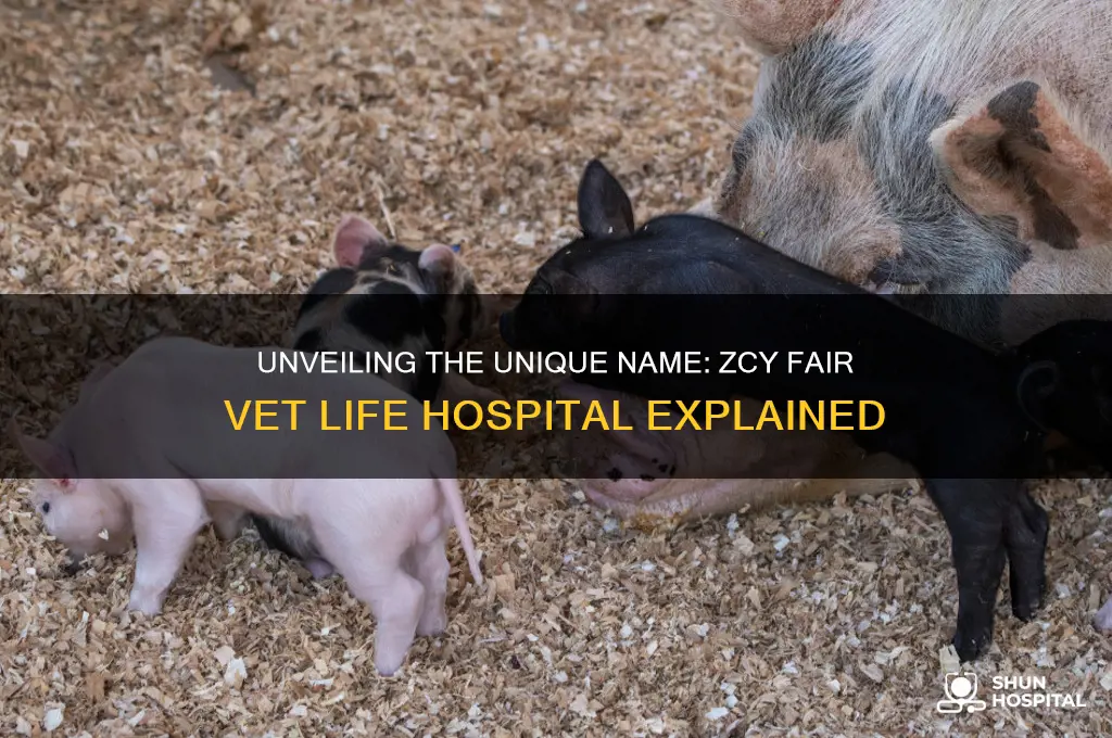why is the vet life hospital called zcy fair