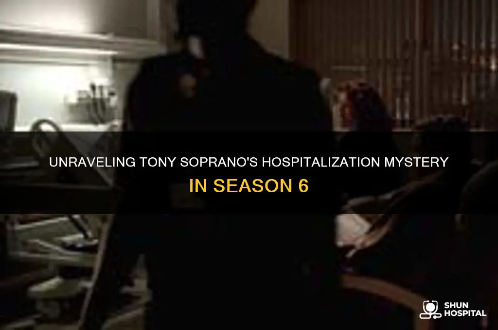 why is tony in the hospital in season 6 sopranos