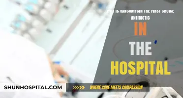 Vancomycin: The Hospital's Top Antibiotic Choice and Why It Matters