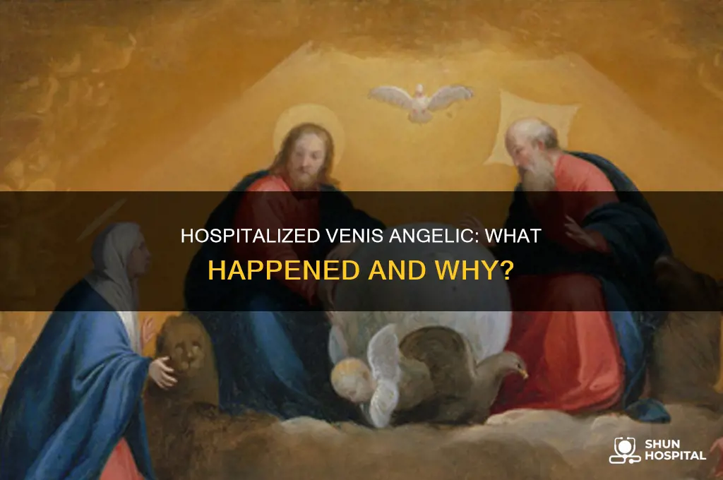 why is venis angelic in the hospital