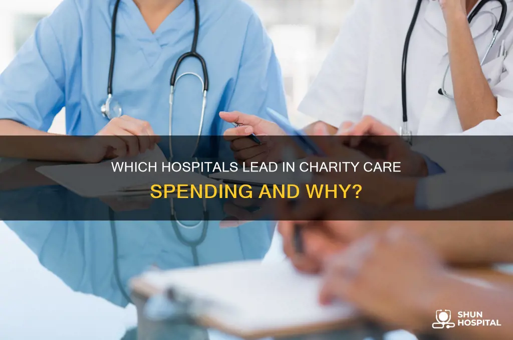 why kinds of hospital spend the most on charity care