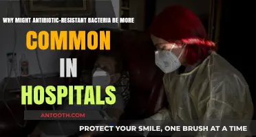 Hospital Hotspots: Why Antibiotic-Resistant Bacteria Thrive in Medical Settings