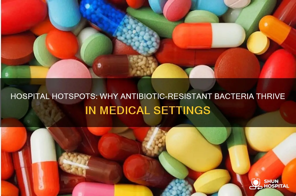why might antibiotic-resistant bacteria be more common in hospitals