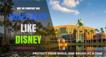 Disney's Hospitality: The Magic Formula for Success