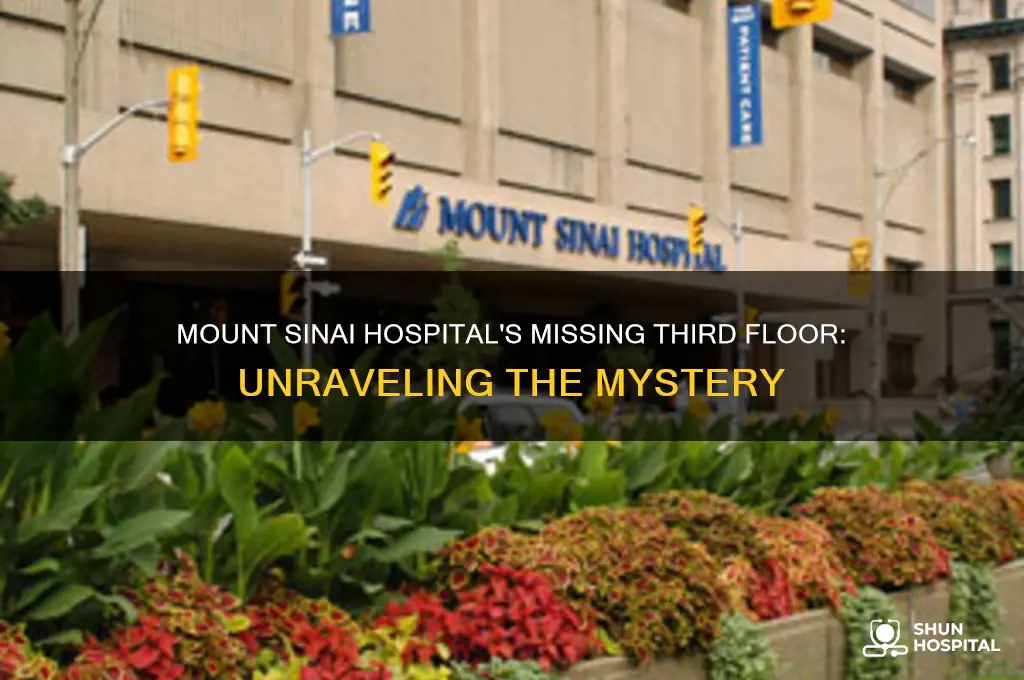 why no number 3 floor in mount sinai hospital