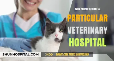Veterinary Hospitals: Why Choose Us?