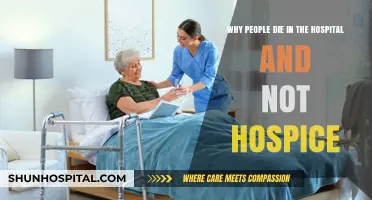 Hospice vs. Hospital: Understanding Where People Often Pass Away
