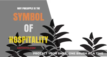Pineapple Hospitality: A Symbol of Warmth and Welcome