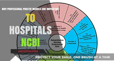 Enhancing Hospital Care: The Critical Role of Professional Practice Models