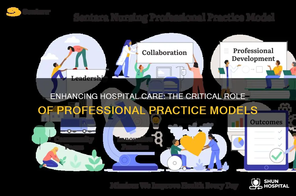 why professonal practie models are important to hospitals ncbi
