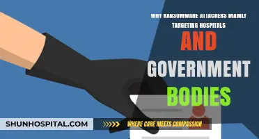 Ransomware's Dark Focus: Why Hospitals and Governments Are Prime Targets