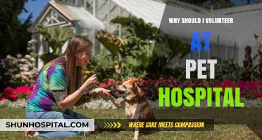 Volunteering at Pet Hospitals: Helping Animals, Changing Lives
