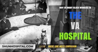 Understanding the High Representation of Black Workers in VA Hospitals