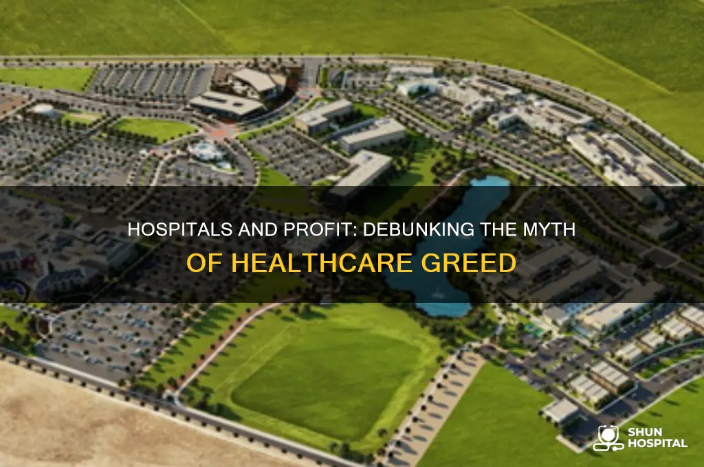 why some hospital arguw that hospitals are not for progit
