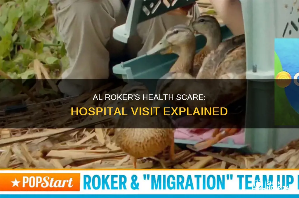 why was al rocker in the hospital
