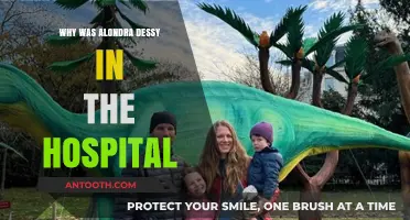 Alondra Dessy's Hospitalization: What Happened and Why?