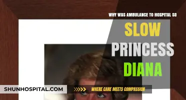 Princess Diana's Ambulance Delay: Unraveling the Tragic Timeline