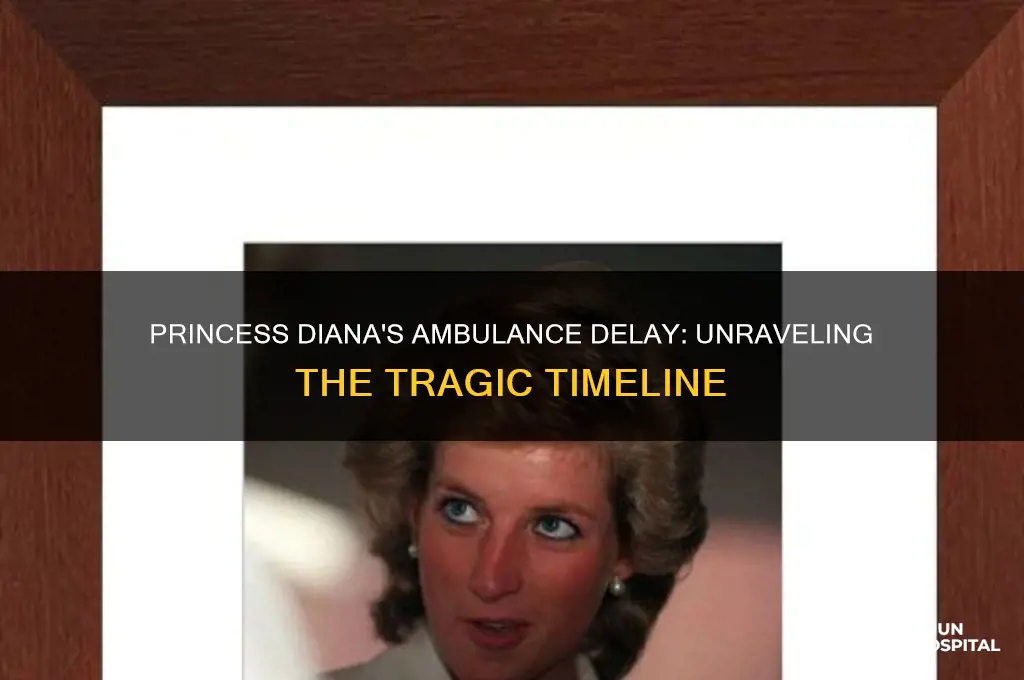 why was ambulance to hospital so slow princess diana