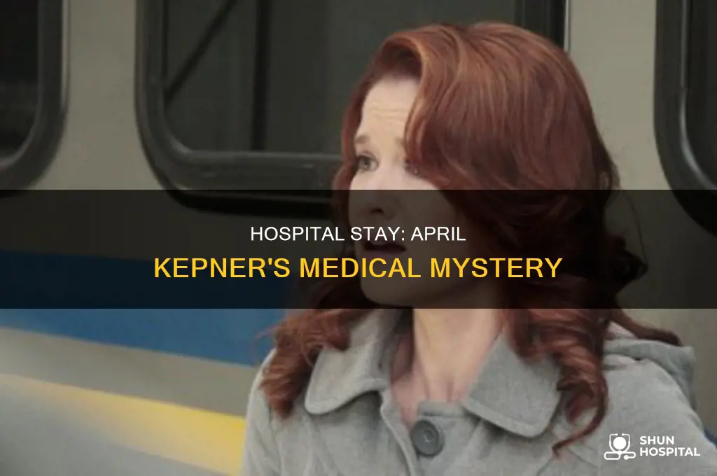 why was april kepner in the hospital