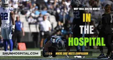 Austin North's Hospitalization: What Happened?