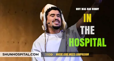 Bad Bunny Hospitalized: What We Know So Far