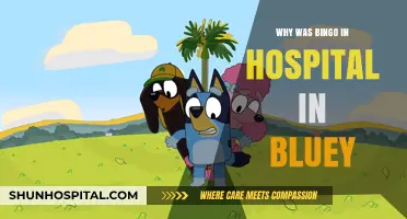 Bingo's Hospital Stay: Bluey's Emotional Take