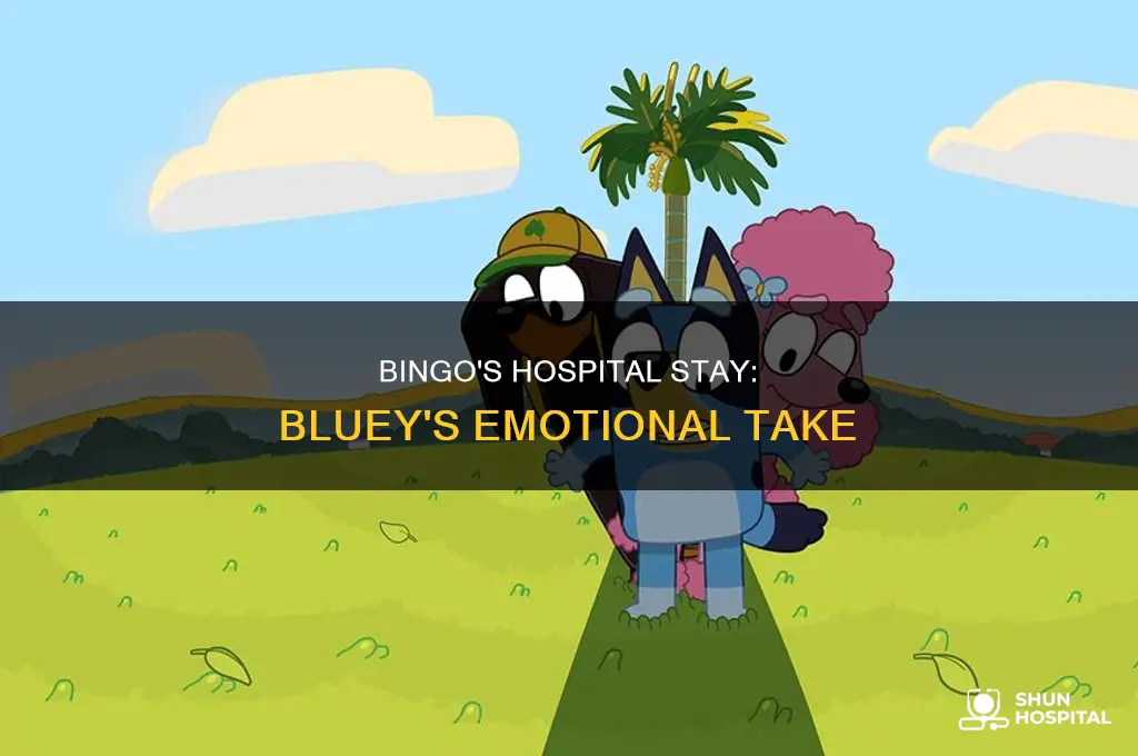 why was bingo in hospital in bluey