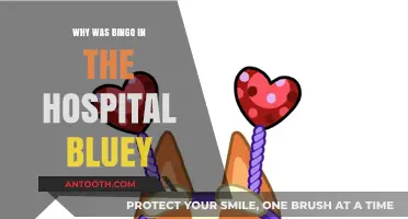 Bingo's Hospital Adventure: A Lesson in Empathy