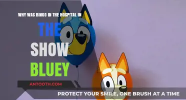 Bluey's Bingo Hospital Visit: Unraveling the Emotional Storyline
