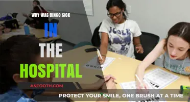 Bingo's Hospital Stay: Uncovering the Reason for Sickness