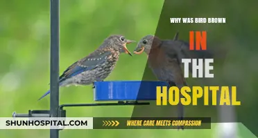 Hospitalization: Bird Brown's Health Scare Explained
