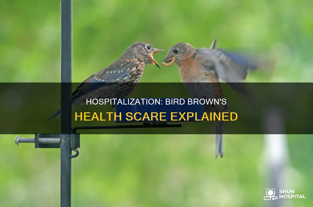 why was bird brown in the hospital