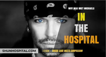 Bret Michaels' Hospitalization: What Really Happened?