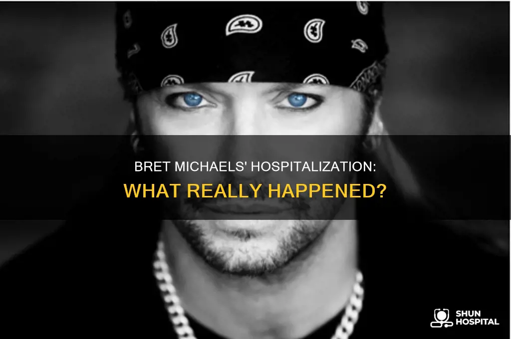 why was bret michaels in the hospital