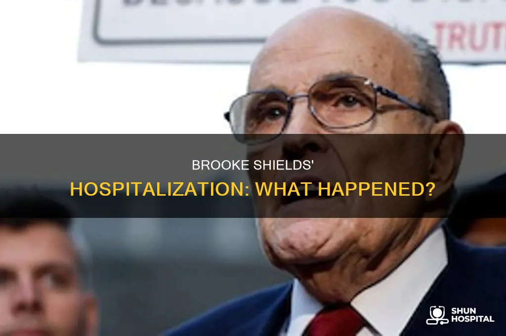 why was brooke shields in the hospital
