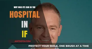 Unraveling the Mystery: B's Dad's Hospitalization in 'If' Explained