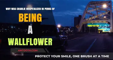 Charlie's Hospitalization in Perks of Being a Wallflower: Unraveling the Reasons