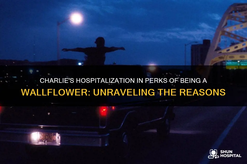 why was charlie hospitalized in perks of being a wallflower