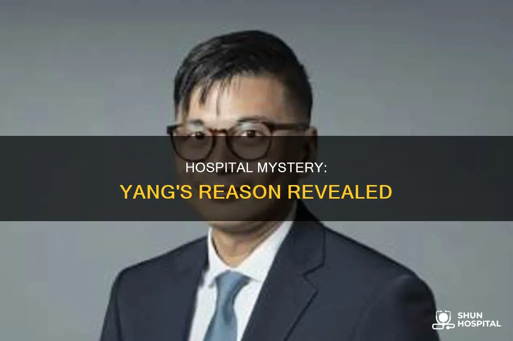 why was cristina yang in the hospital