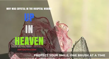 Crystal's Hospital Journey: Waking Up in Heaven Explained