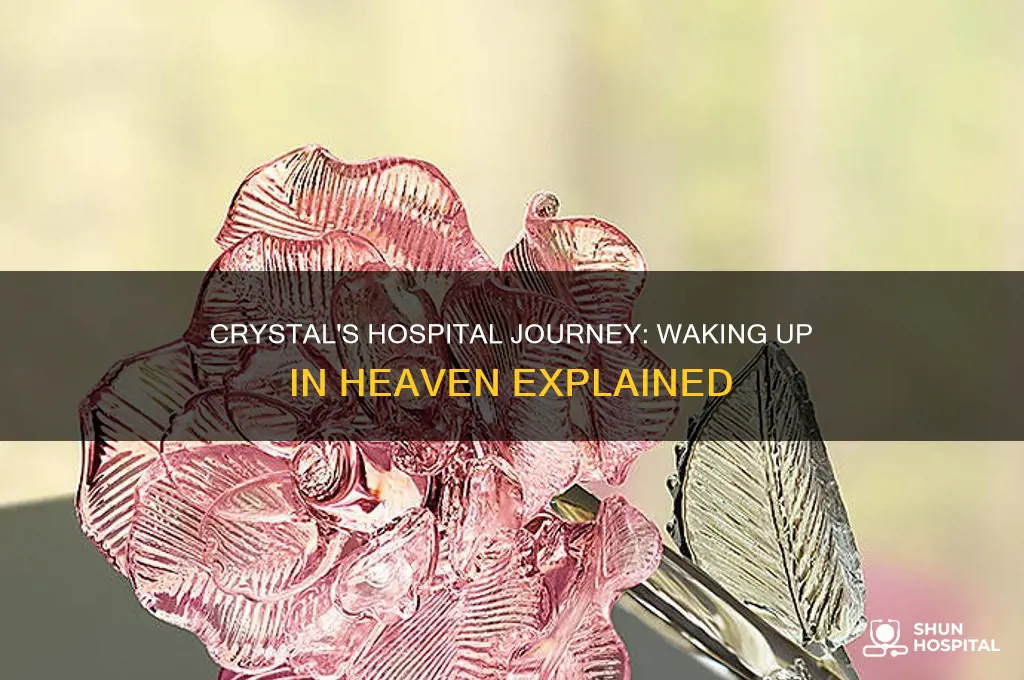 why was crystal in the hospital waking up in heaven