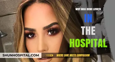 Demi Lovato's Hospitalization: What Happened and Why?