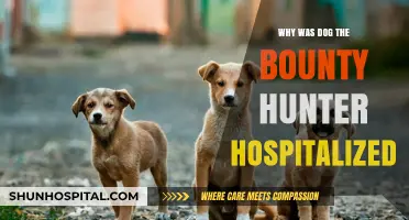Dog the Bounty Hunter's Health Scare: Hospitalization Explained